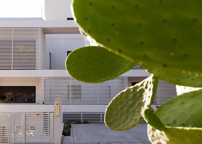 Experience Penthouse By Athens Riviera Suites